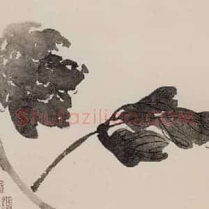 清代 高其佩《高其佩竹石花卉图册》国画花鸟作品图片赏析
