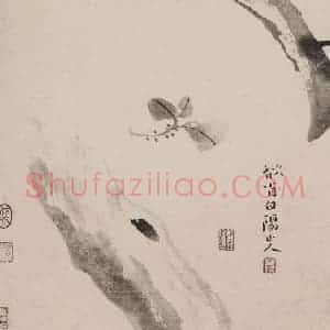 清代 高其佩《高其佩竹石花卉图册》国画花鸟作品图片赏析