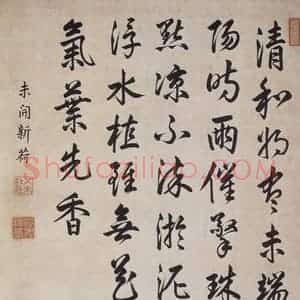 清代 蒋廷锡《蒋廷锡未开新荷图轴》国画花鸟作品图片赏析