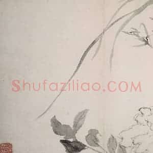 清代 陈撰《陈撰花卉图册》国画花鸟作品图片赏析