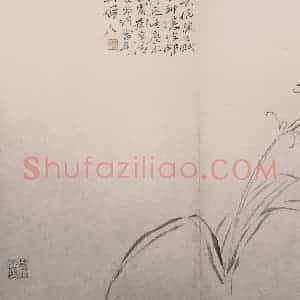 清代 陈撰《陈撰花卉图册》国画花鸟作品图片赏析