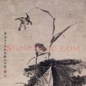 清代 沈铨《沈铨荷花鹭鸶图轴》国画花鸟作品图片赏析
