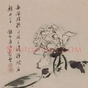 清代 高凤翰《高凤翰花卉图册》国画花鸟作品图片赏析