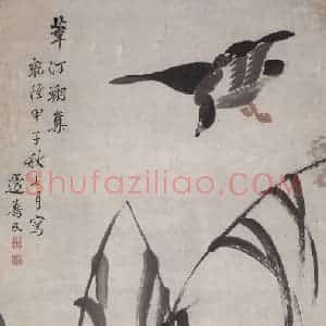 清代 边寿民《边寿民苇汀翔集图轴》国画花鸟作品图片赏析