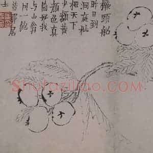 清代 金农《金农杂画图册》国画综合作品图片赏析