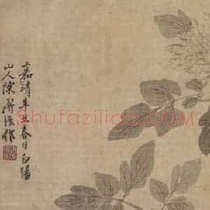 明代 陈淳《陈淳芍药图卷》国画花鸟作品图片赏析