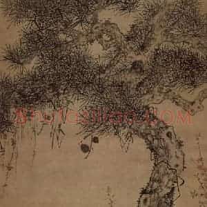 清代 翟大坤《翟大坤松芝图轴》国画花鸟作品图片赏析
