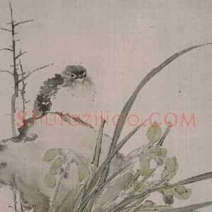 清代 任薰《任薰翎毛花卉图册》国画花鸟作品图片赏析