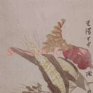 清代 任颐《任颐花果图册》国画花鸟作品图片赏析