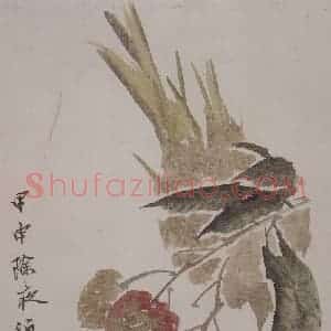 清代 任颐《任颐花果图册》国画花鸟作品图片赏析