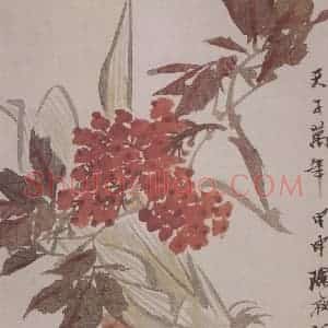 清代 任颐《任颐花果图册》国画花鸟作品图片赏析