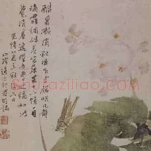 清代 任颐《任颐花果图册》国画花鸟作品图片赏析