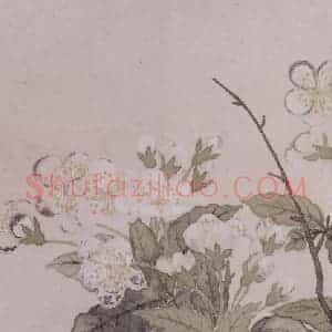 清代 董诰《董诰花卉图册》国画花鸟作品图片赏析