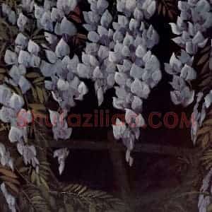 60年代 林风眠《紫藤》国画花鸟作品图片赏析