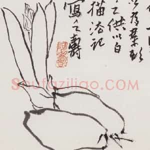 1950年代 潘天寿《白描水仙》国画花鸟作品图片赏析