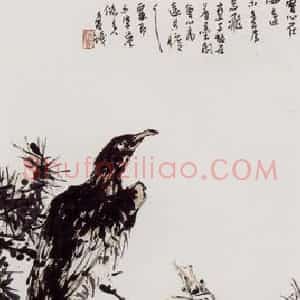 1961年 潘天寿《松鹰图轴》国画综合作品图片赏析