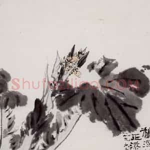 1965年 潘天寿《菘菜图轴》国画花鸟作品图片赏析