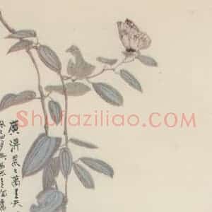 近现代 张大千《梦蝶》国画花鸟作品图片赏析