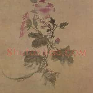 明代 孙龙《秋花图册》国画花鸟作品图片赏析