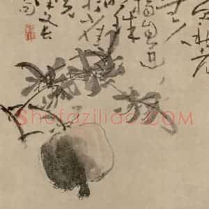 清代 黄慎《石榴图册》国画花鸟作品图片赏析