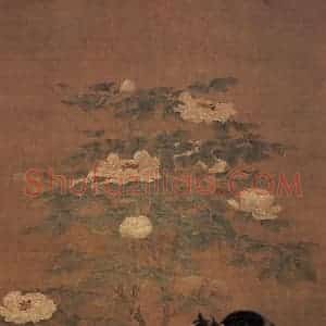 宋代 宋人《富贵花狸》国画花鸟作品图片赏析