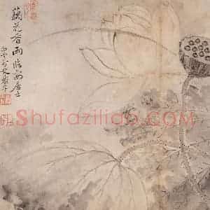 清代 恽寿平《写生墨妙》国画花鸟作品图片赏析