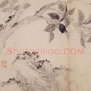 清代 恽寿平《写生墨妙》国画花鸟作品图片赏析