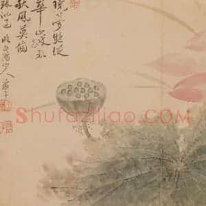 清代 恽寿平《花卉》国画花鸟作品图片赏析