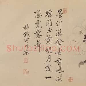 清代 恽寿平《花卉》国画花鸟作品图片赏析