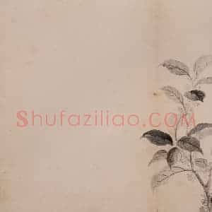 清代 恽寿平《墨花》国画花鸟作品图片赏析