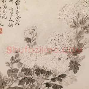 清代 恽寿平《写生花卉》国画花鸟作品图片赏析