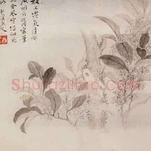清代 恽寿平《写生花卉》国画花鸟作品图片赏析
