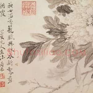 清代 恽寿平《写生花卉》国画花鸟作品图片赏析