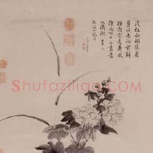 清代 邹一桂《画芙蓉》国画花鸟作品图片赏析