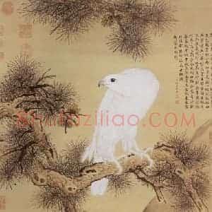 清代 郎世宁《白鹘图》国画花鸟作品图片赏析