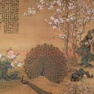 清代 郎世宁《画孔雀开屏》国画花鸟作品图片赏析