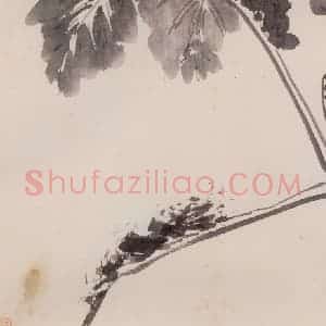 清代 传綮《写生》国画花鸟作品图片赏析
