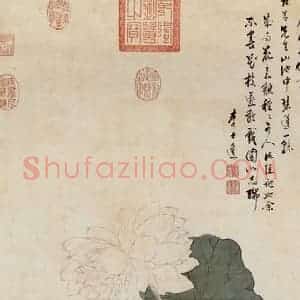 明代 李士达《瑞莲图》国画综合作品图片赏析