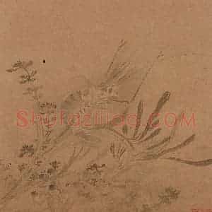 明代 孙龙《写生》国画花鸟作品图片赏析