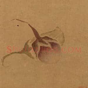 明代 孙龙《写生》国画花鸟作品图片赏析