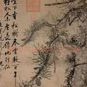 明代 沈周《古松图》国画山水作品图片赏析