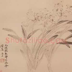 清朝 恽寿平《摹古》国画花鸟作品图片赏析