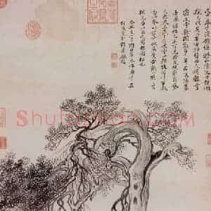 清朝 恽寿平《画禹穴古柏》国画山水作品图片赏析