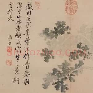 清朝 恽寿平《写生》国画花鸟作品图片赏析