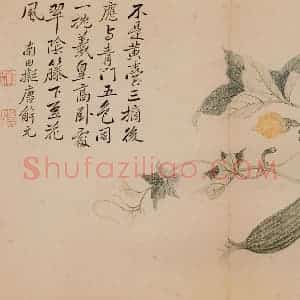 清朝 恽寿平《写生》国画花鸟作品图片赏析