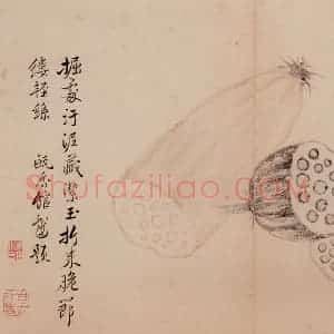 清朝 恽寿平《写生》国画花鸟作品图片赏析