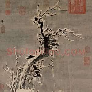 明代 吕纪《寒雪山鸡图》国画花鸟作品图片赏析