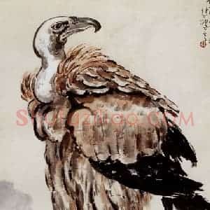 现代 徐悲鸿《秃鹫》国画花鸟作品图片赏析