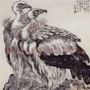 现代 徐悲鸿《双鹫》国画综合作品图片赏析