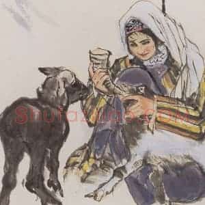 1957年 黄胄《育羔》国画综合作品图片赏析